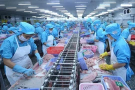 El procesamiento de productos acuícolas para la exportación (Fuente: VNA)